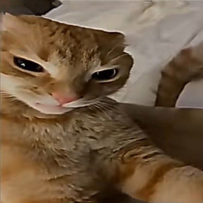 Анёба Даниил